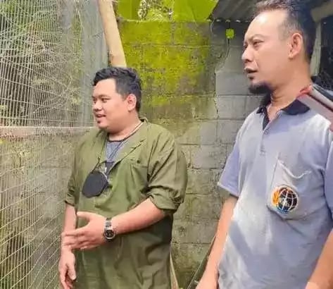 Partner Ayam Pheasant