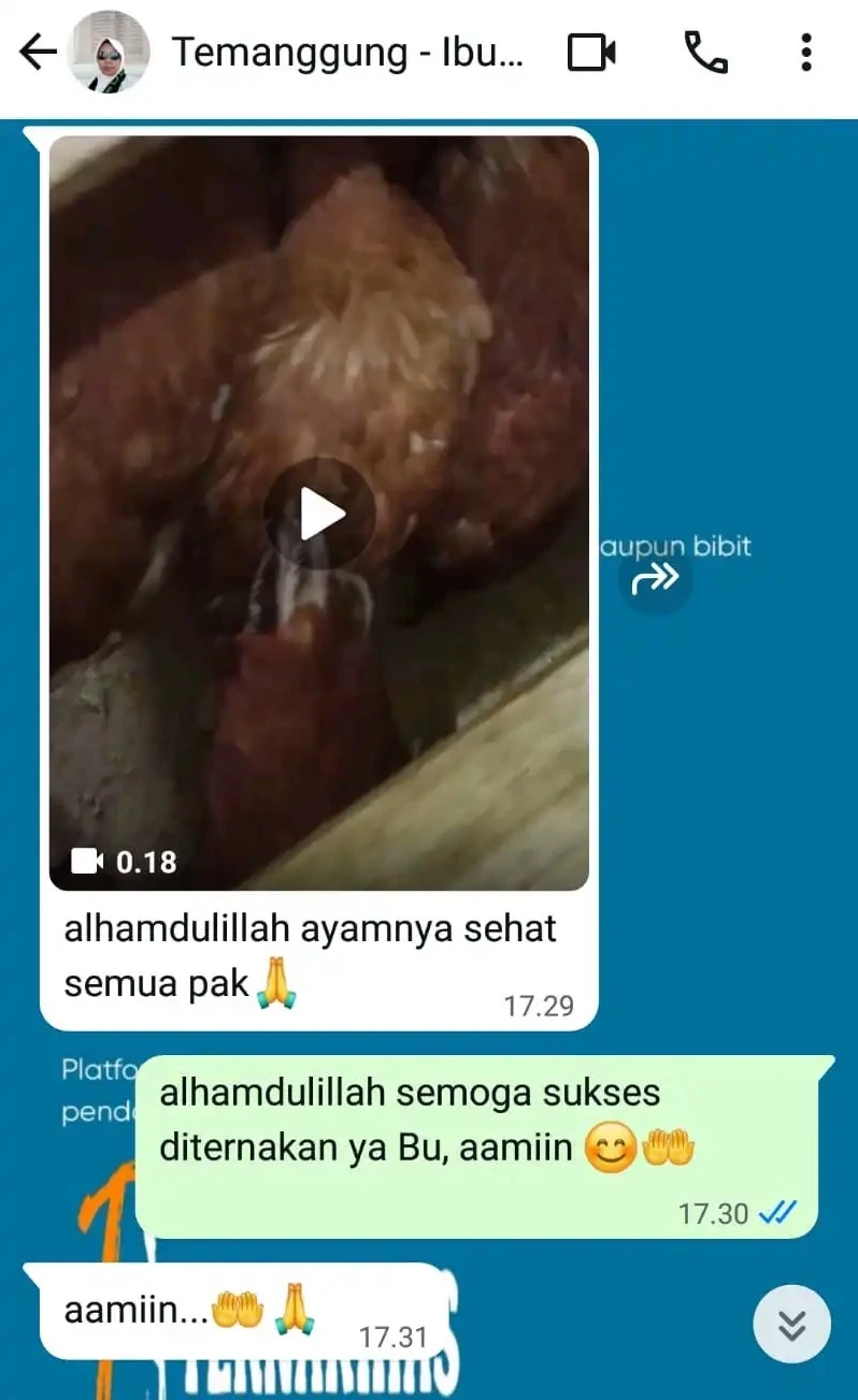 testi