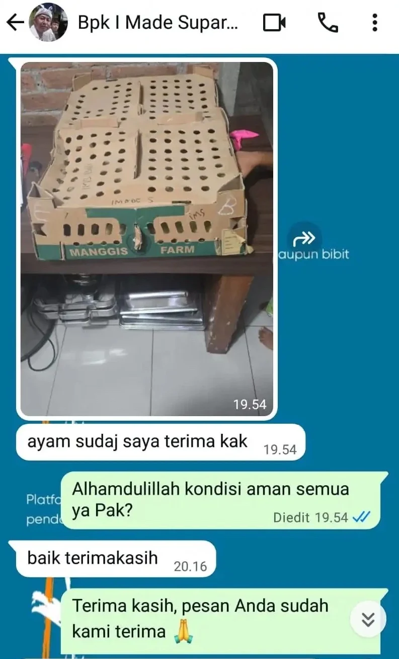 testi